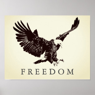 Pop Art Freedom Eagle Landung Vintag Poster