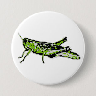 Pop Art Grüne Heuschrecke Button