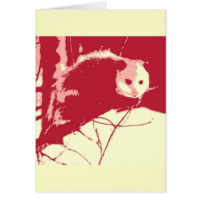 Pop Art Opossum (Vorne)