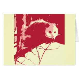 Pop Art Opossum