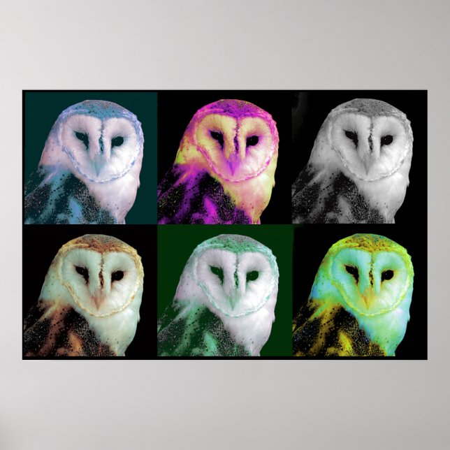 Pop Art Owl Poster (Vorne)