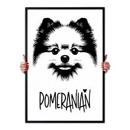 Pop-Art Pomeranian Schwarz-Weiß Chic Ästhetik Poster