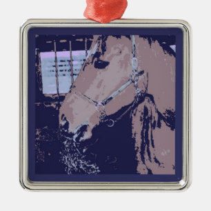 Pop Art Reiten Ornament Aus Metall