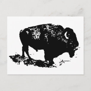Pop Art Schwarz-weiß Buffalo Bison Silhouette Postkarte