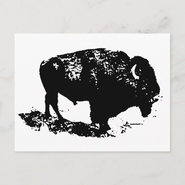 Pop Art Schwarz-weiß Buffalo Bison Silhouette Postkarte (Vorderseite)