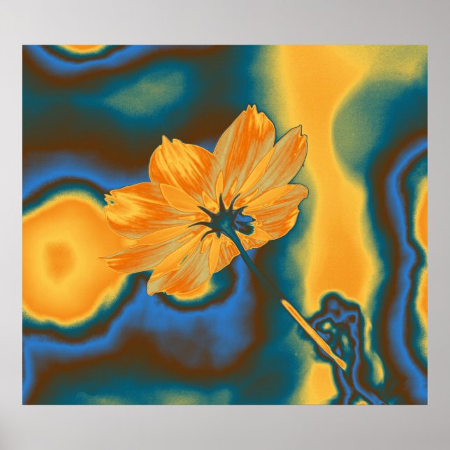 Pop Art Yellow Cosmos Blume Poster (Vorne)