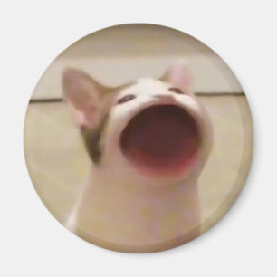 Pop Cat Magnet