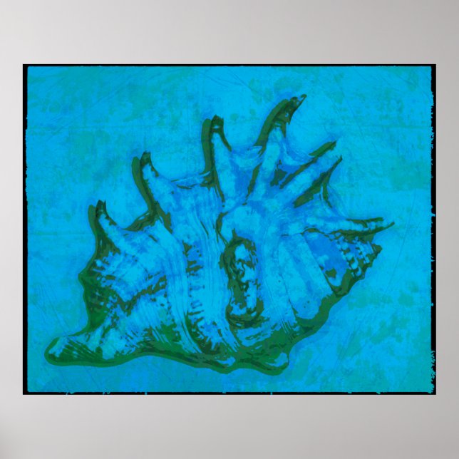 Pop Conch Poster (Vorne)