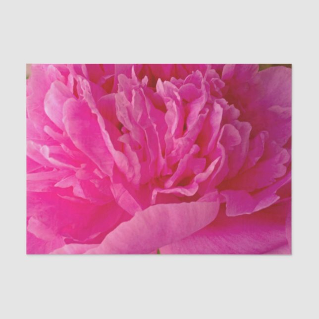 Pop des Pink Peony-TISSUE-PAPIERS Seidenpapier (Vorderseite)