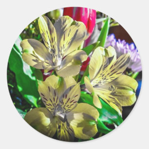 Pop-FarbBlumen-Aufkleber Runder Aufkleber