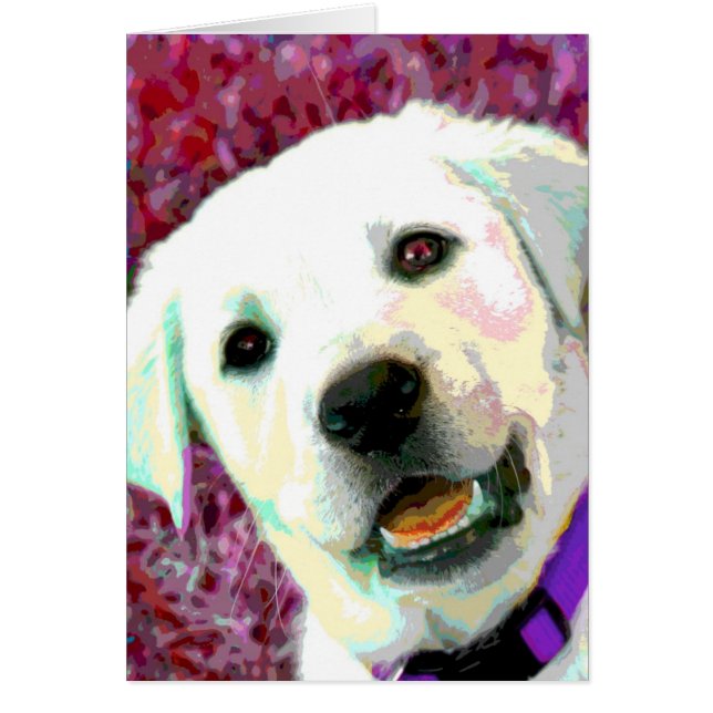 Pop KUNST Labradorwelpe (Vorne)