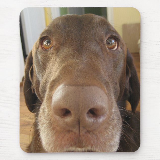 POP mousepad (Vorne)