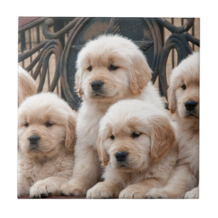 Pop oben! Welpen Fliese