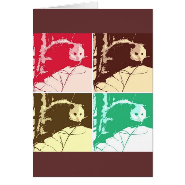Pop Opossum Art (Vorne)