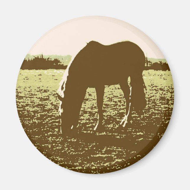 Pop Reiten Magnet (Vorne)