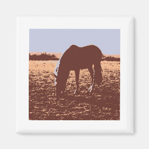 Pop Reiten Magnet