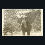 Pop von Elefanten Poster<br><div class="desc">Pop von Elefanten</div>