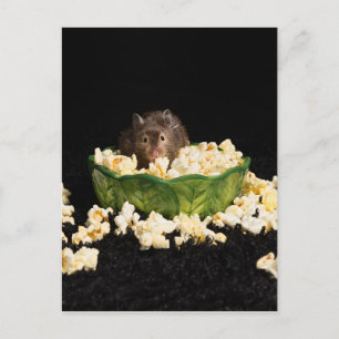 Popcorn-Liebhaber Postkarte