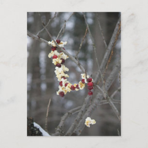 Popcorn und Cranberries Garland Postkarte