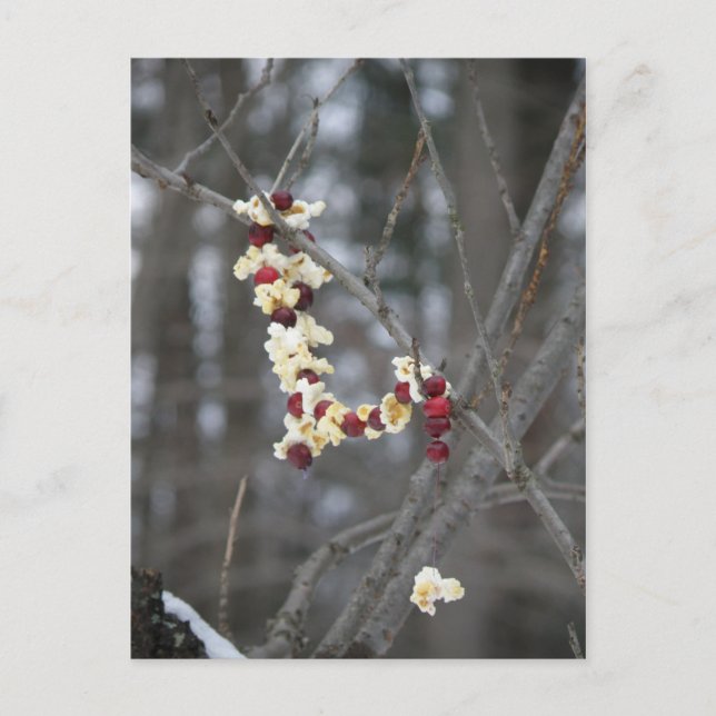Popcorn und Cranberries Garland Postkarte (Vorderseite)