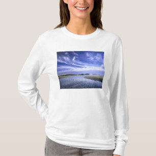 POPHAM BEACH STATE PARK, MAINE. USA. Cirrus T-Shirt