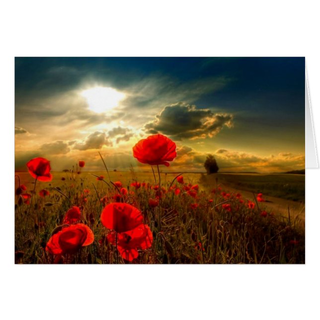 Poppies (Vorderseite (Horizontal))