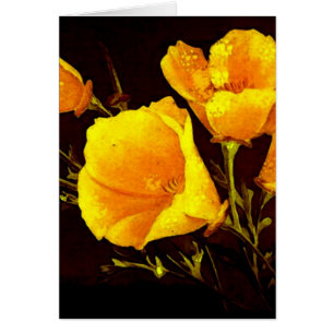 Poppies