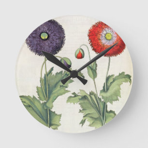 Poppies: 1.Papaver flore multiplici incarnato; 2.P Runde Wanduhr