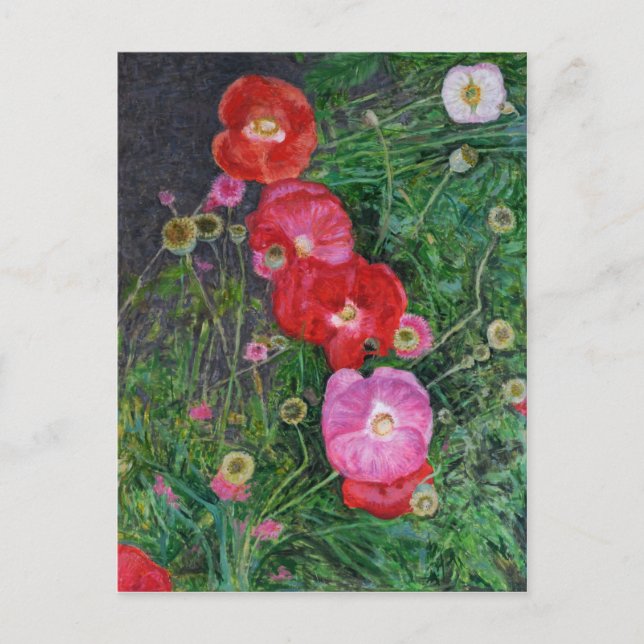 Poppies 2009 postkarte (Vorderseite)