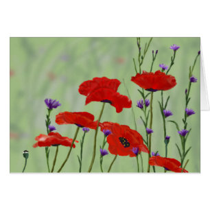 Poppies aller Occasion Blank