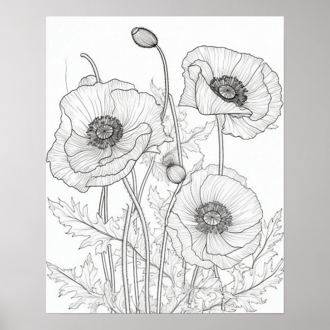 Poppies Blume Farbplakat für Erwachsene Poster (Vorne)