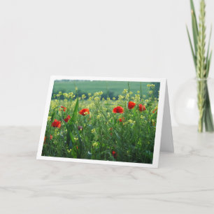 Poppies-Feld Karte