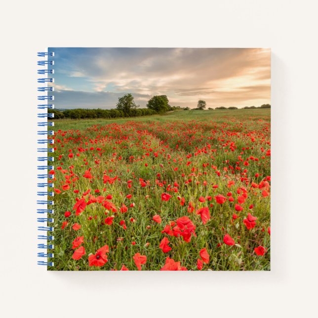 Poppies-Feld Notizbuch (Vorderseite)