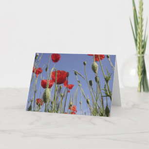 Poppies - Greeting Card Karte