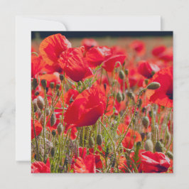 Poppies Greetings Card Dankeskarte
