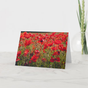 Poppies Greetings Card Karte
