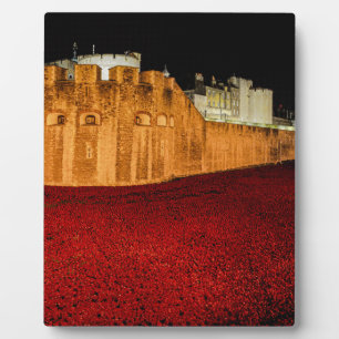 Poppies im Tower of London - Night Panorama Fotoplatte