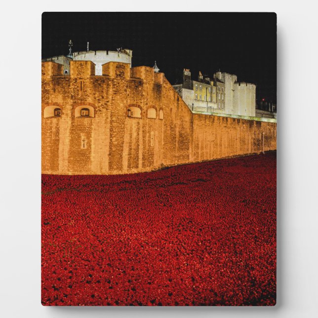 Poppies im Tower of London - Night Panorama Fotoplatte (Vorderseite)