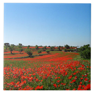 Poppies in Bloom Fliese