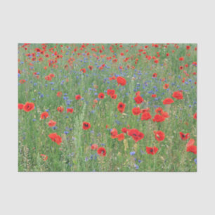 Poppies in einem Cornfield Seidenpapier