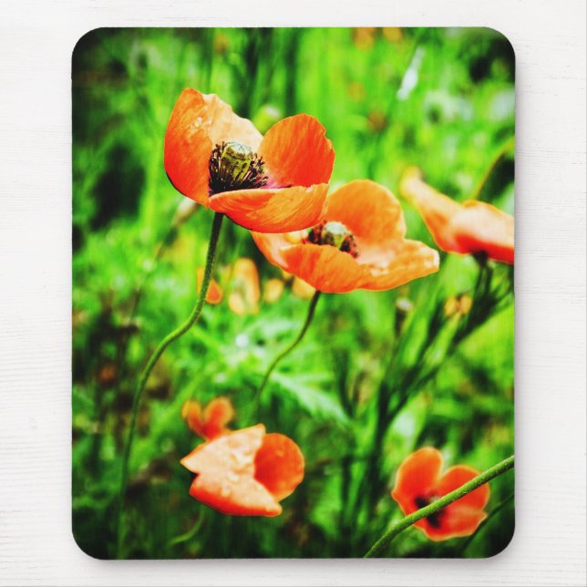 Poppies in Neuseeland Mousepad (Vorne)
