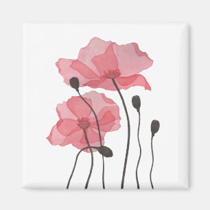 Poppies Magnet