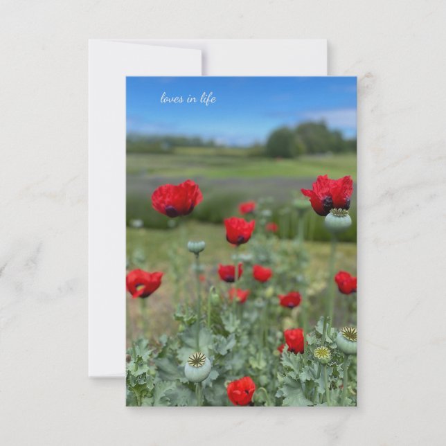 Poppies & Poppy Heads Mitteilungskarte (Vorderseite)