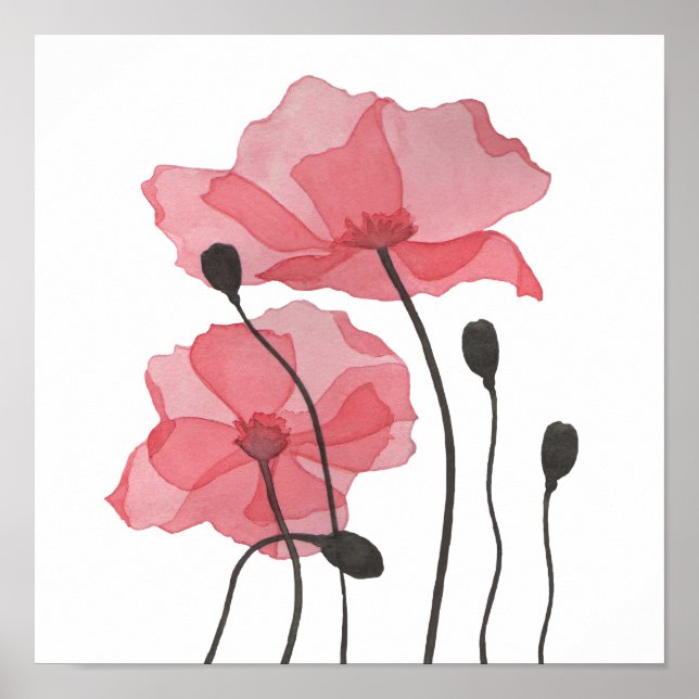 Poppies Poster (Vorne)