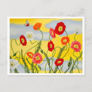 Poppies Postkarte
