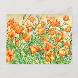 Poppies Postkarte