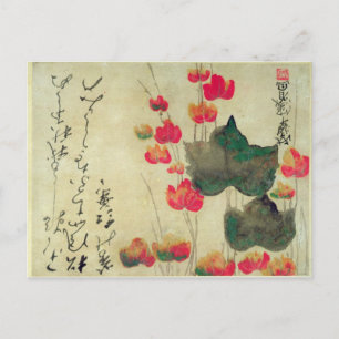 Poppies Postkarte