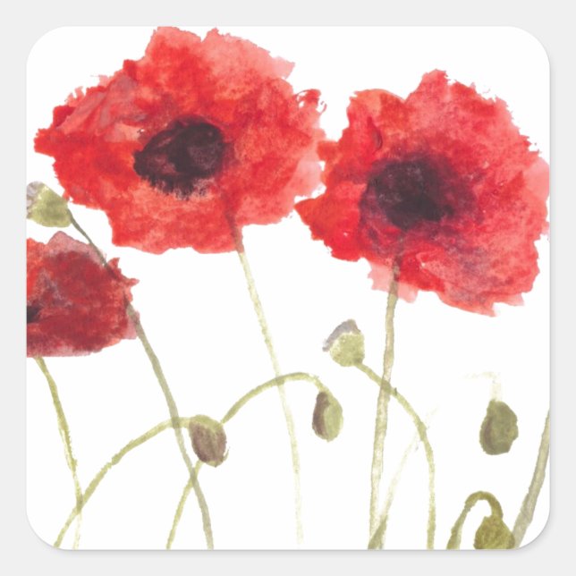 Poppies rote Blume Aquarellfarben rustikale Wildbl Quadratischer Aufkleber (Vorderseite)
