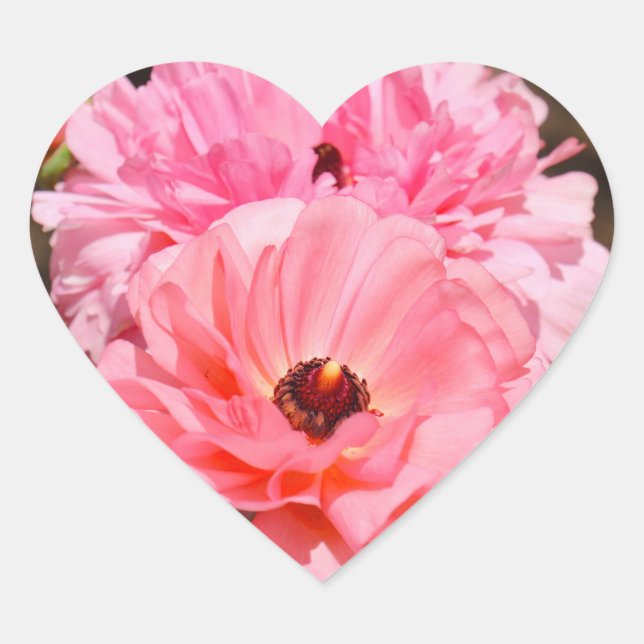 Popping in Pink  Herz-Aufkleber (Vorderseite)