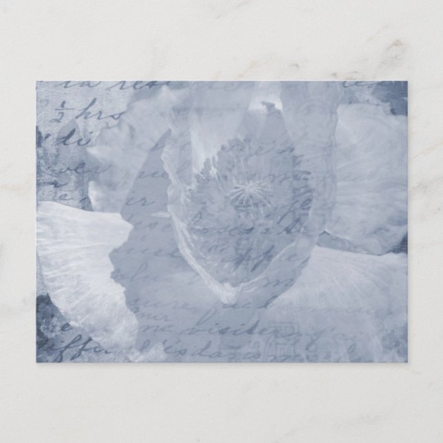 Poppy 2 postkarte (Vorderseite)